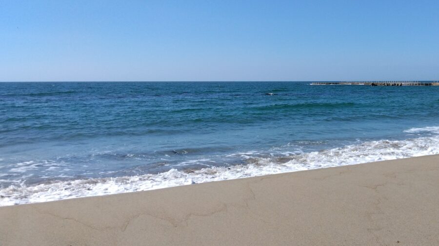 海辺